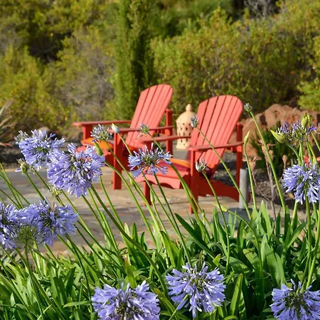 Infinite Place Mit Grandiosem Atlantikblick Holiday home Puntagorda (La Palma)